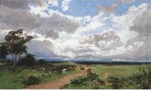 Near Liverpool, New South Wales