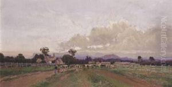 Milking Time - Droving Cattle - view 1