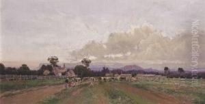 Milking Time - Droving Cattle