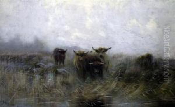 Highland Cattle Beside A Stream - view 1
