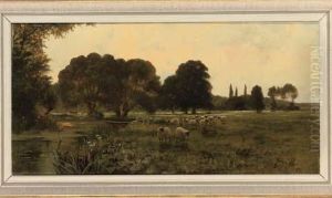 A Flock Of Sheep Beside A River