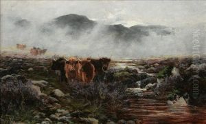 Highland Cattlein The Mist Highland Cattle Amidst The Heather by Sidney Pike