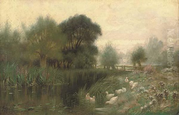 Ducks On A River - view 1
