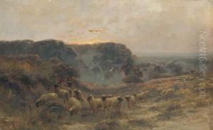 Evening On Sunny Hills