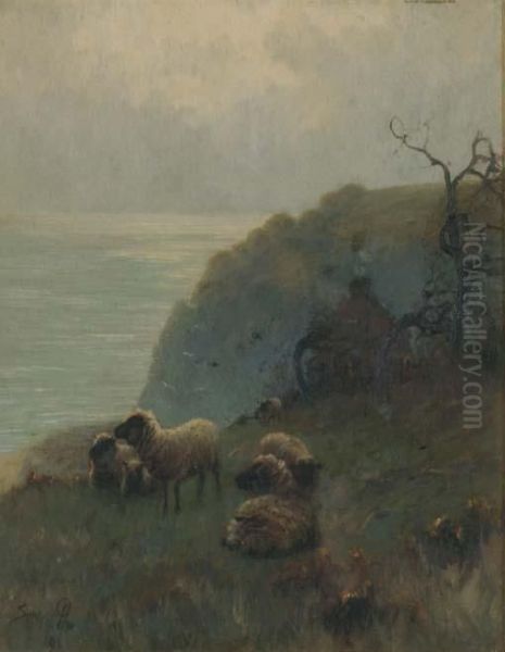 Sheep Beside A Cliff, Over Looking The Sea - view 1