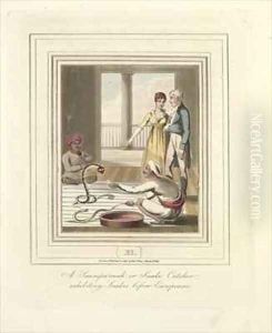 The Snake Catcher