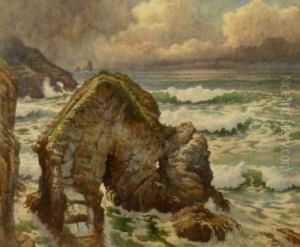 Shag Rock Perranporth