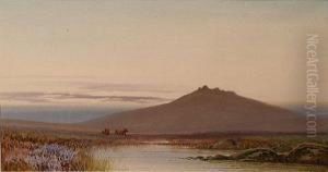 Cattle Grazing In Amoorland Landscape by Douglas Houzen Pinder