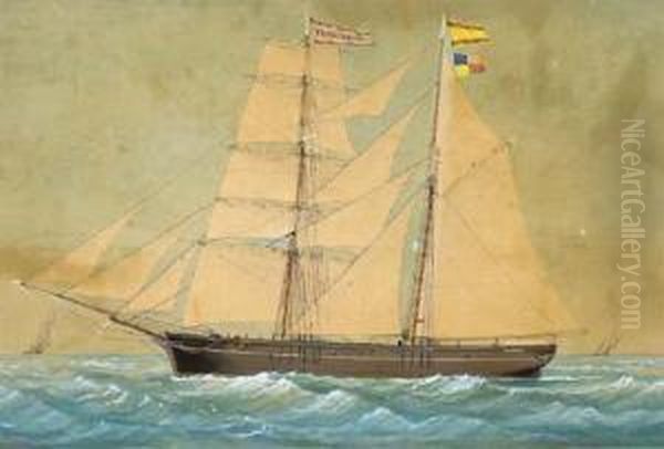 The Spanish Polacra-schooner Francisqueta - view 1