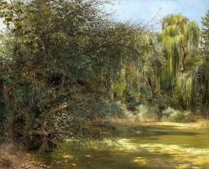 A Shady Pond by Jose Pinelo Llull