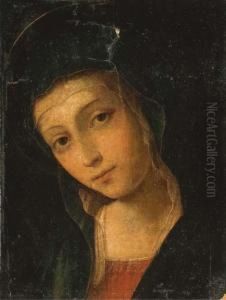 The Madonna