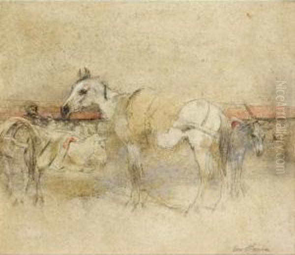 Sketch Of A Moorish Pack Horse - view 1