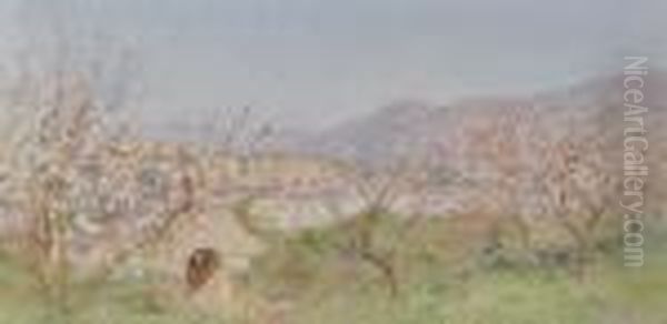 Extensive Landscape "pompeii,
Spring" - view 1