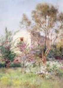 Primavera by Alberto Pisa