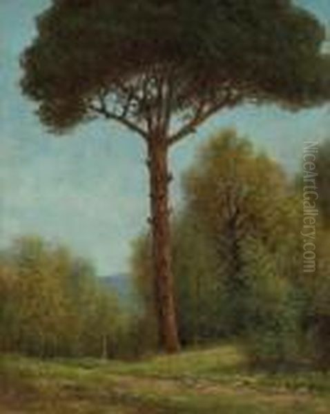 L'albero - view 1