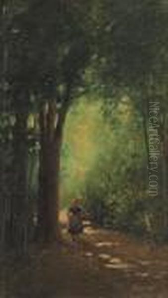 Viottolo Tra Gli Alberi - view 1