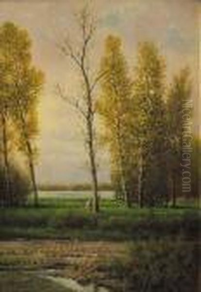 Preludio Autunnale - view 1