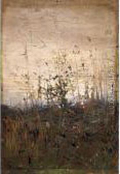 Fiori Di Campo - view 1
