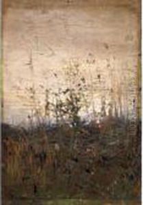 Fiori Di Campo by Carlo Pittara