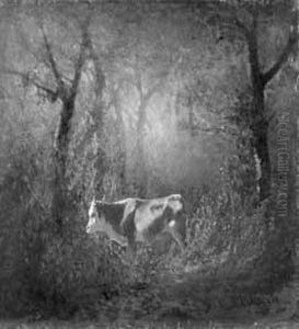 prime Luci Nel Bosco by Carlo Pittara