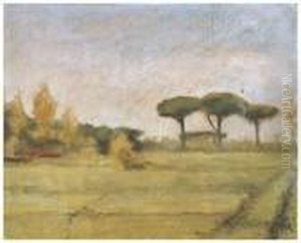 S. Rossore - view 1