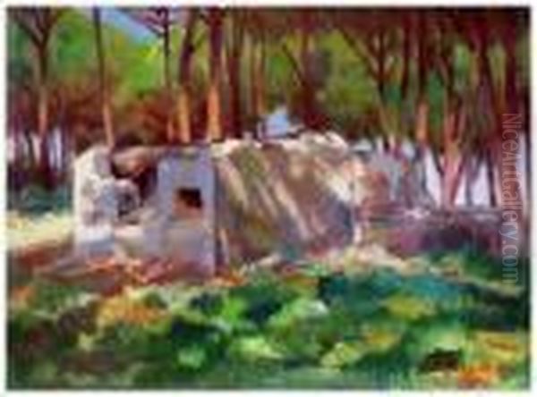 Rovina In Pineta - view 1