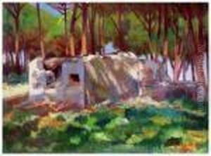 Rovina In Pineta