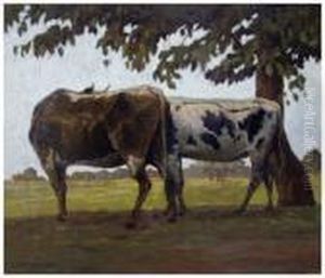 Buoi Al Pascolo 1936 by Ferruccio Pizzanelli