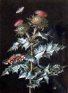 A Study of a Thistle with Insects by Barbara Regina Dietzsch