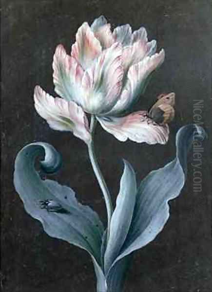 Parrot Tulip with Butterfly and Beetle - view 1
