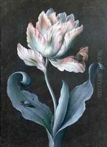 Parrot Tulip with Butterfly and Beetle by Barbara Regina Dietzsch