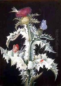 A Study of a Thistle with Insects 2 by Barbara Regina Dietzsch