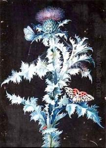 Still Life of a Thistle by Barbara Regina Dietzsch