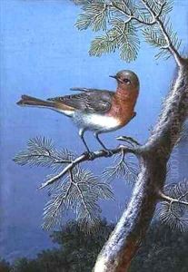 Robin Standing on a Branch by Barbara Regina Dietzsch