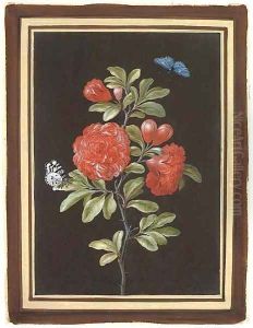 Still life with a rose and two butterflies by Barbara Regina Dietzsch