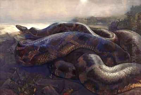 Kaa the Python - view 1