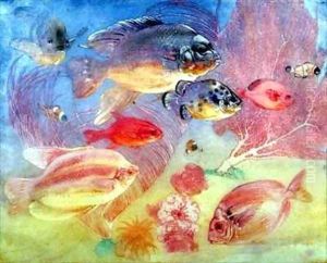 Tropical Fish