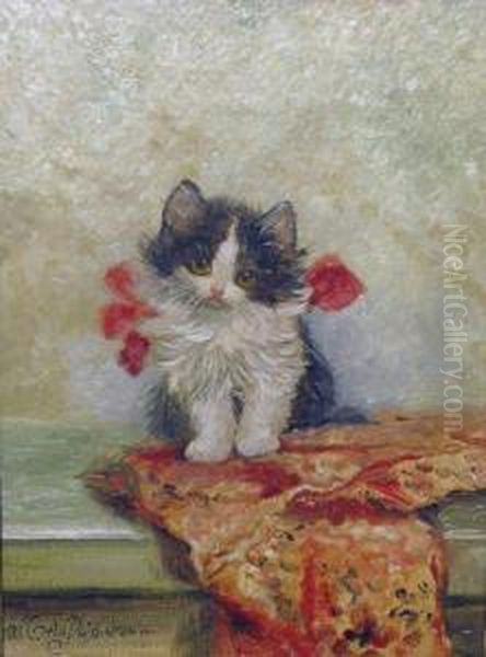 Junge Katze Mit Buntem Tuch - view 1