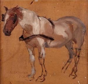 Pferdestudie by Alexander Pock