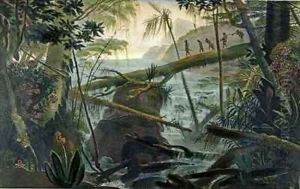 Indians using a Fallen Tree trunk to Cross the Rio Paraiba do Sul by Jean Baptiste Debret
