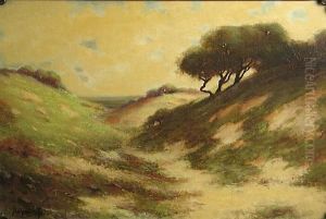 Cypress On The Dunes by Alexis Matthew Podchernikoff