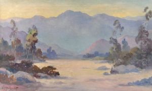 California Dawn