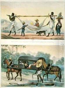 Different Transport in Brazil by Jean Baptiste Debret