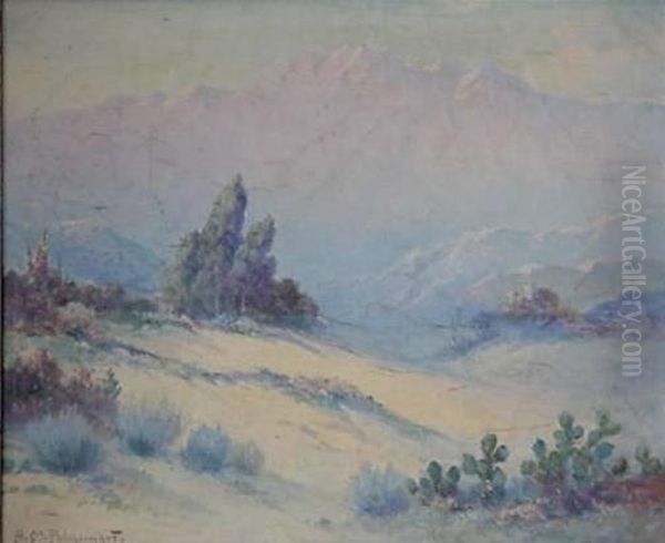 California Landscape - view 1
