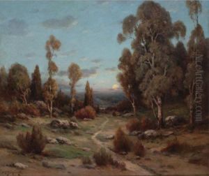 Sunset In The Hills
