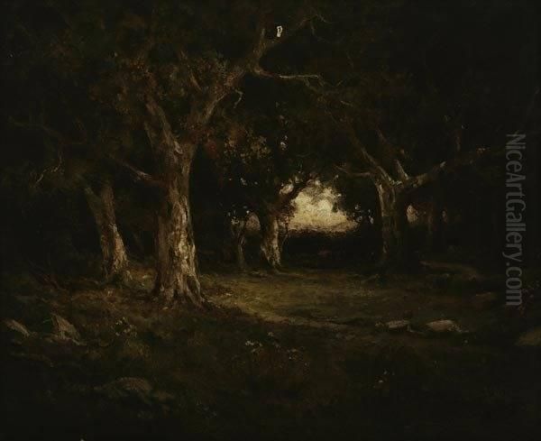 "live Oaks" - view 1