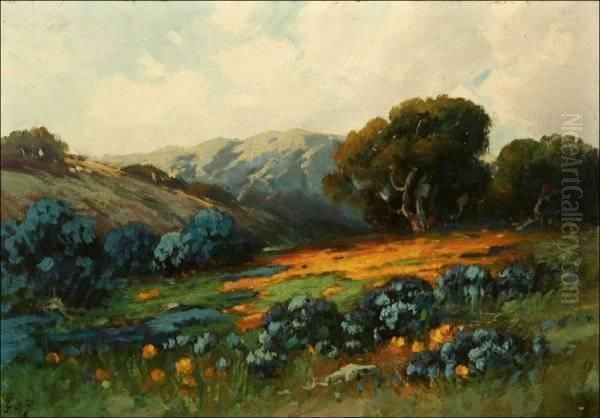 Santa Barbara Landscape With Wildflowers - view 1