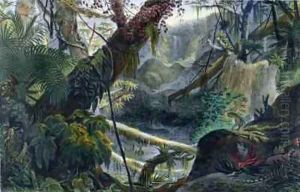 Valley in the Serra do Mar by Jean Baptiste Debret