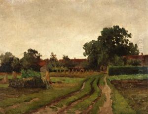 Landweg Langs Korenveld