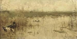 Amongst Reeds In The Polder